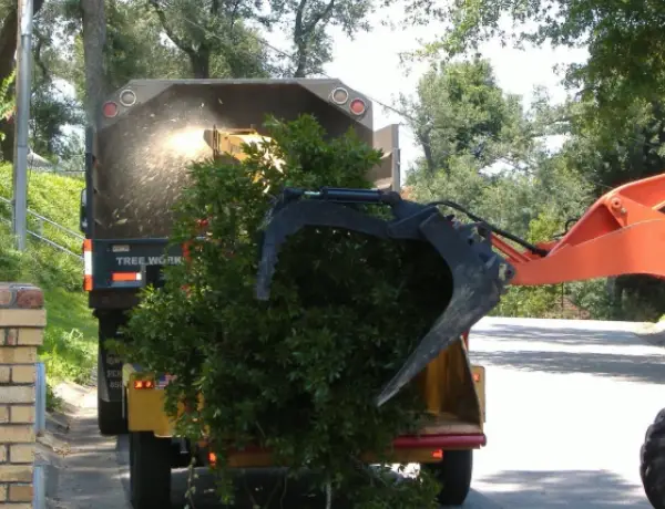 Tree Removal Milton FL