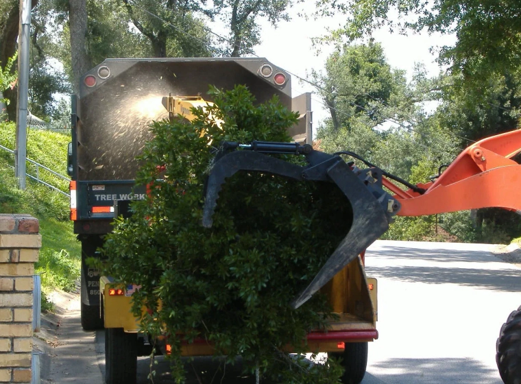 shrubbery-extraction